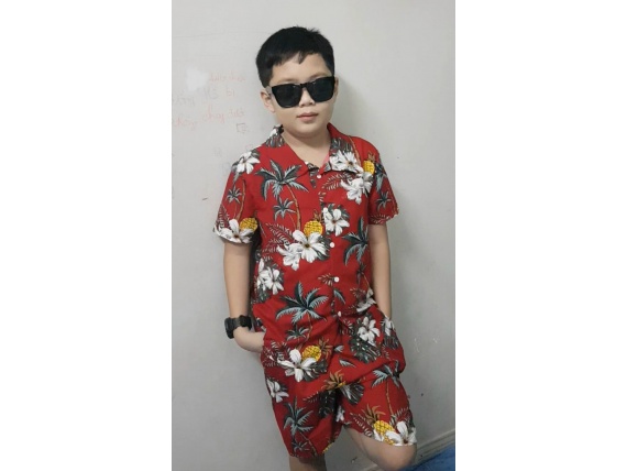 BỘ HOA SỨ ĐỎ