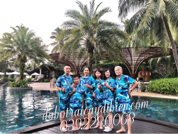 BỘ DỪA NỀN XANH