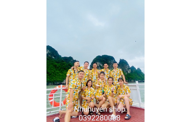 BỘ HOA HƯỚNG DƯƠNG TRẮNG