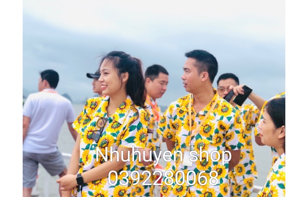 BỘ HOA HƯỚNG DƯƠNG TRẮNG