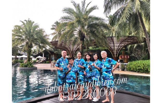 BỘ DỪA NỀN XANH